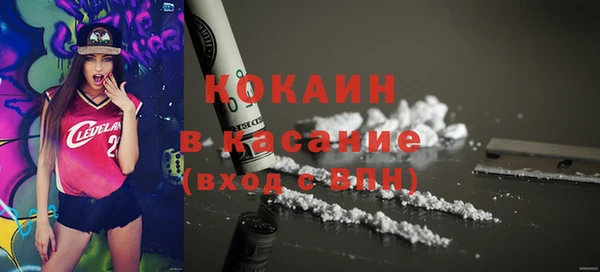 шишки Богданович