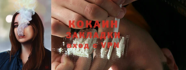 шишки Богородск
