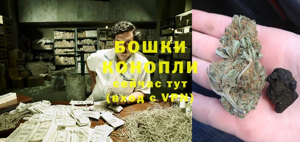 шишки Богородск