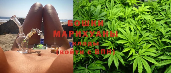 шишки Богородск