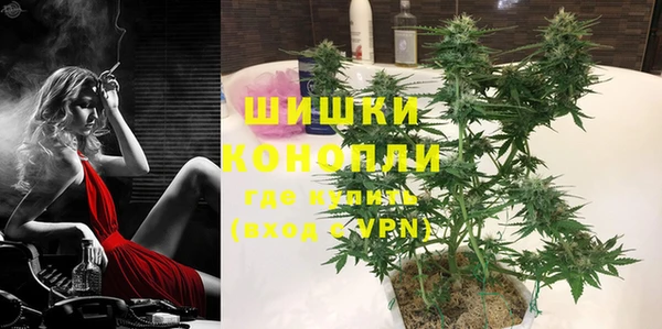 шишки Богданович