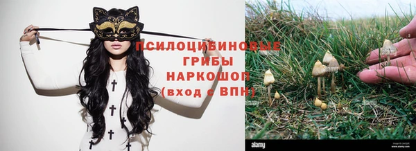 шишки Богданович