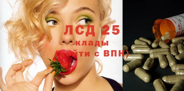 шишки Богданович