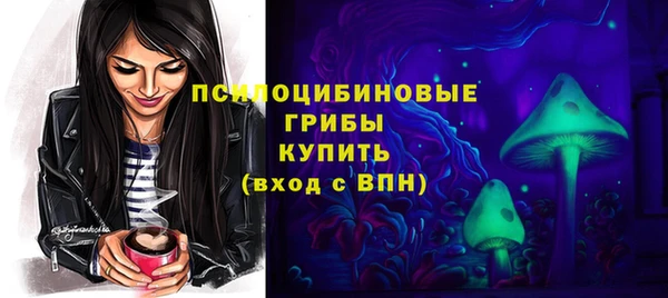 шишки Богородск