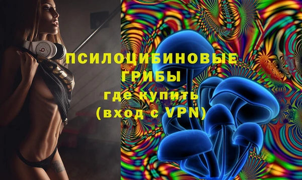 шишки Богданович