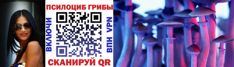 Псилоцибиновые грибы Psilocybe  mega рабочий сайт  Венёв 