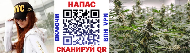 Шишки марихуана AK-47 Венёв